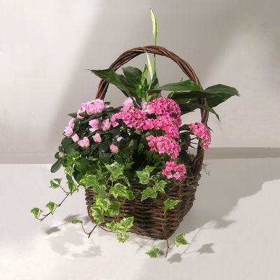Blooming Gift Basket