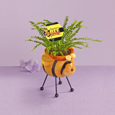 Buzzin' Around Planter