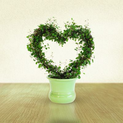 Always in My Heart Angel Vine Topiary