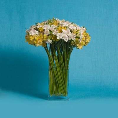 Vera Wang Alstroemeria