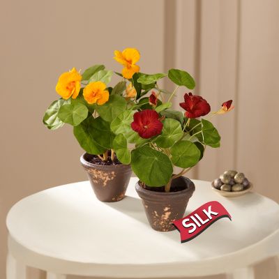 Pleasantly Potted Silk Plants