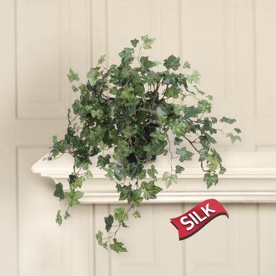 Cottage Coziness Silk Ivy Plant
