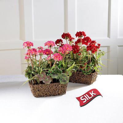 Sunny Days Silk Geranium Planter