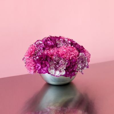 Todd Oldham Mixed Up Carnations