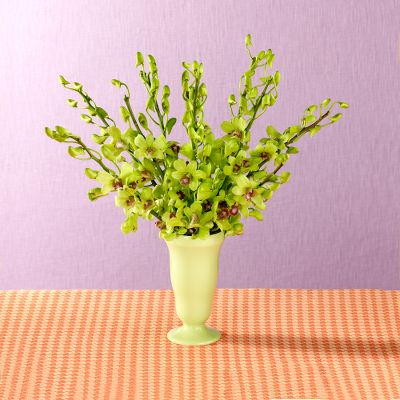 Todd Oldham Just Jade Orchid Bouquet