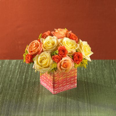 Todd Oldham? New Ombre Rose