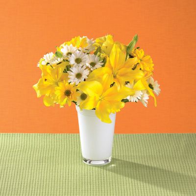 Todd Oldham Sunshine in a Cup Bouquet