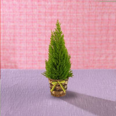 Todd Oldham Electric Summer Tree