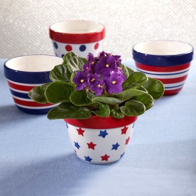 Todd Oldham Red, White, Blue & Violets