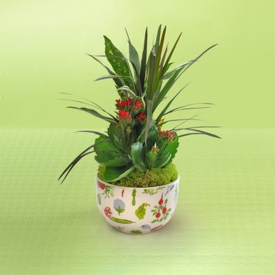 Todd Oldham? Veggie Blooms Mixing Bowl