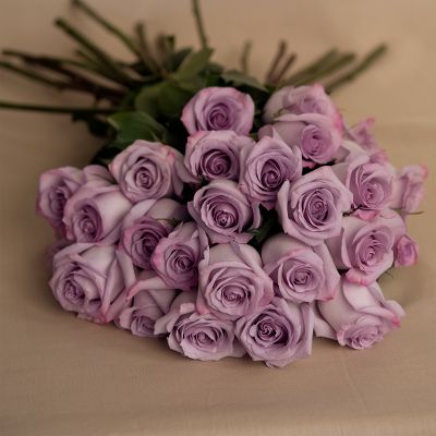 Vera Wang Lavender - Bouquet of 12 Roses