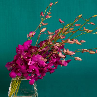 Vera Wang Amethyst Orchid Bouquet