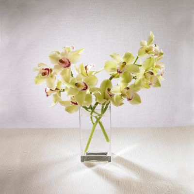 Vera Wang Green Cymbidium Bouquet