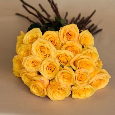 Vera Wang Sunburst Rose Bouquet - 24 Stems