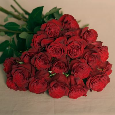 Vera Wang Romance Rose Bouquet - 12 Stems