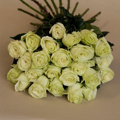 Vera Wang Green Tea Rose Bouquet - 24 Stems