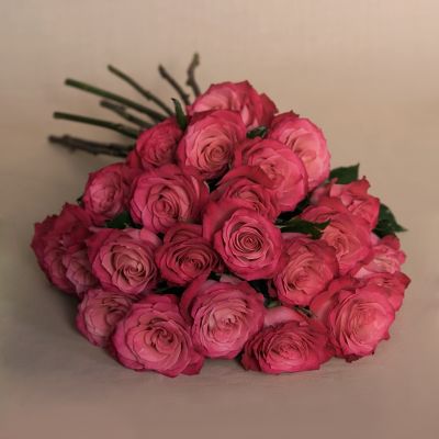 Vera Wang Spring Awakening Rose Bouquet - 24 Stems