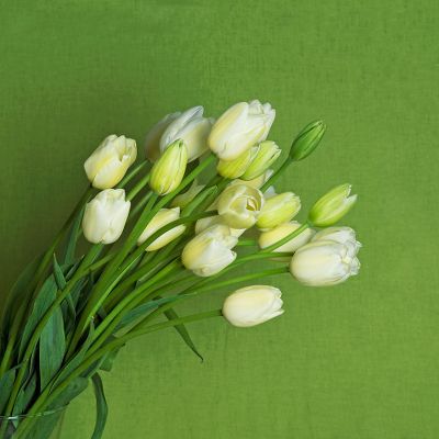 Vera Wang Majestic French Tulips Bouquet