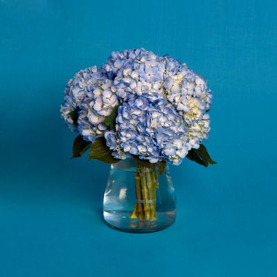 Vera Wang Blue Duchesse Hydrangea Bouquet