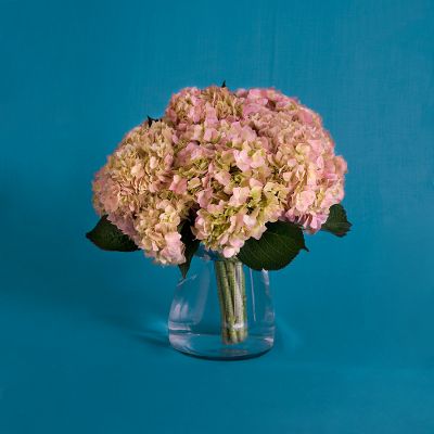 Vera Wang Pink Duchesse Hydrangea Bouquet