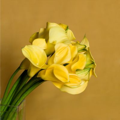 Vera Wang Lemon Drop Calla Lily Bouquet