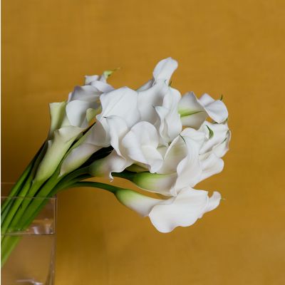 Vera Wang Polar White Calla Lily Bouquet