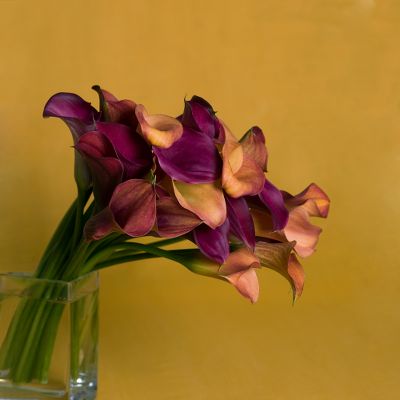 Vera Wang Sun-kissed Calla Lily Bouquet