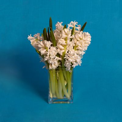 Vera Wang™ Spring White Hyacinth Bouquet