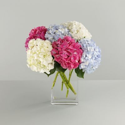 Vera Wang Spring Beauty Hydrangea Bouquet