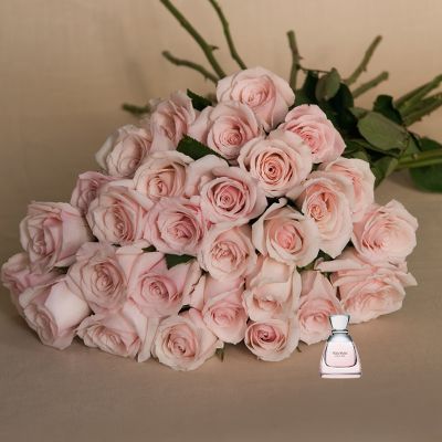 Vera Wang Roses