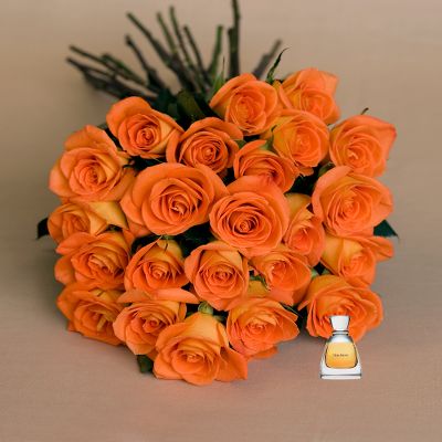 Vera Wang Roses