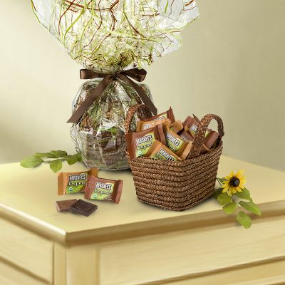 HERSHEY'S&reg; Organic Chocolate Assortment