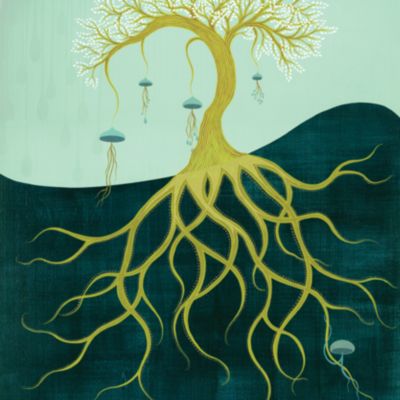 ebb by Melissa Moss