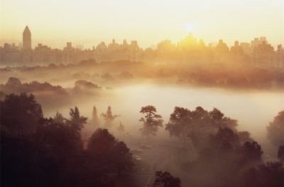 Mist Over the Sheep Meadow by Ruth Orkin