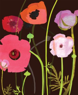 Chocolate Ranunculus by Susy Pilgrim Waters