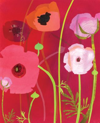 Pink Ranunculus by Susy Pilgrim Waters