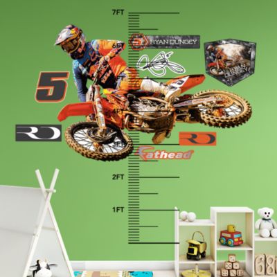 Toronto Blue Jays Mascot - Rookie League