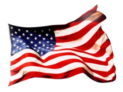 American Politics