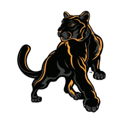 Adelphi Panthers