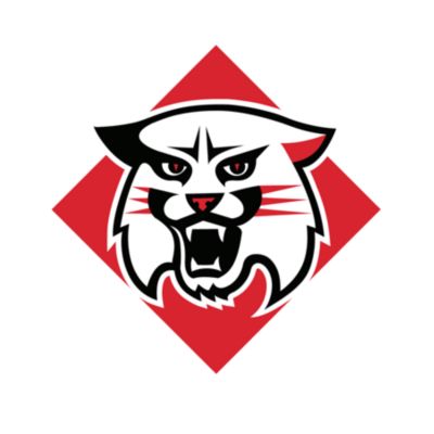 Davidson Wildcats