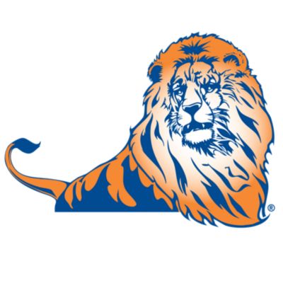 Lincoln Lions