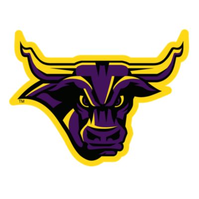 Minnesota State Mavericks