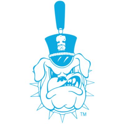 The Citadel Bulldogs