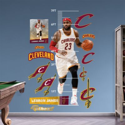 Assorted Sports Ball Graphics Wall Decal Shop Fathead® for General