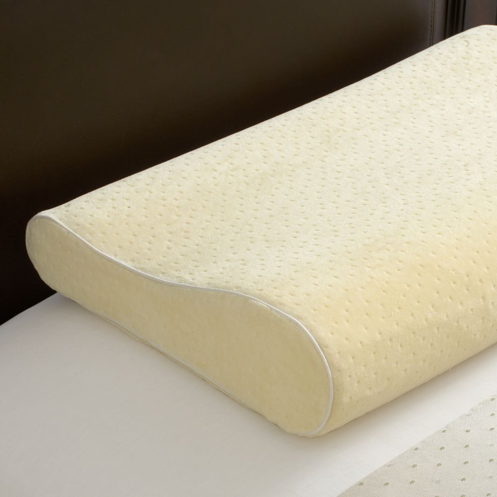 Sealy Memory Foam Pillow