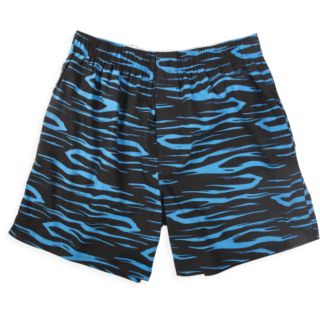 Zeebrah Boxer