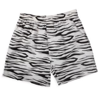 Zeebrah Boxer