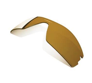 The Fox Duncan Sport Lens