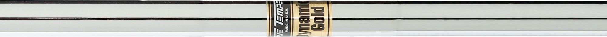 True Temper Dynamic Gold with Sensicore Steel Iron Shaft (.370" Tip)