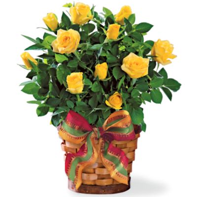 Harvest Rose Basket